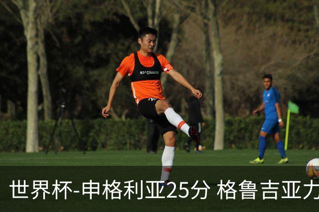 世界杯-申格利亚25分 格鲁吉亚力克委内瑞拉